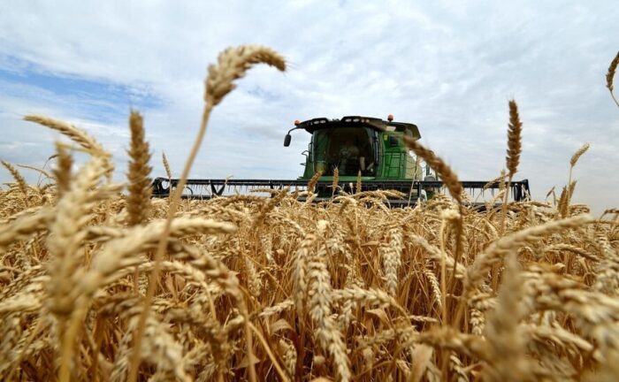 خرید بیش از یک میلیون و ۴۲۰ هزار تن گندم در خوزستان