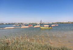 عملیات لایروبی پوزه کعبی در رودخانه کارون