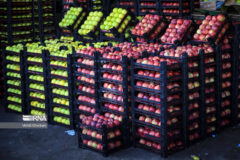 میادین جدید عرضه کالای اساسی و میوه و تره‌بار در اهواز راه اندازی می‌شود