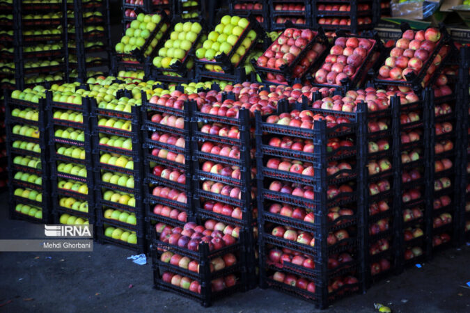 میادین جدید عرضه کالای اساسی و میوه و تره‌بار در اهواز راه اندازی می‌شود