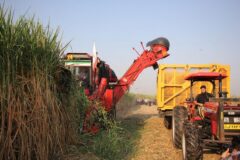 مطالعات توسعه زنجیره ارزش باگاس نیشکر در خوزستان کلید خورد