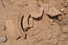 تخریب تپه تاریخی شوش؛ متهم به حبس محکوم شد