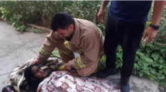 نجات پنج نفر از آتش‌سوزی منزل مسکونی در شوش